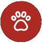 pets